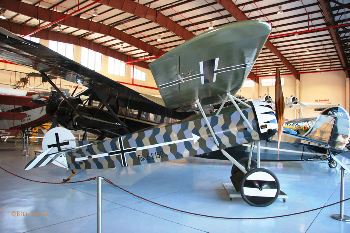 Fokker DVIII (NX94100) Walk Around