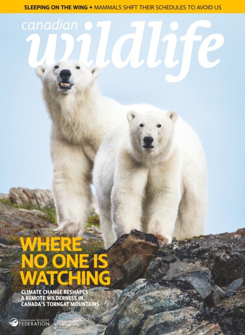 Canadian Wildlife - January/February 2026