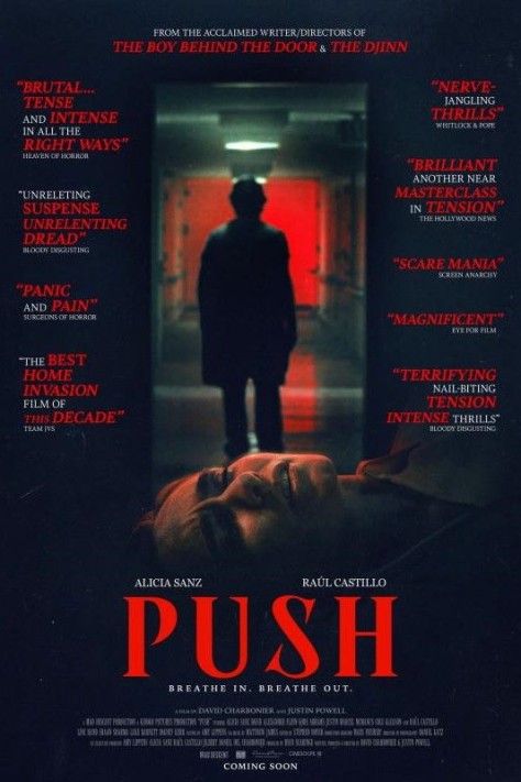 Dziki Lokator / Push (2024) PL.1080p.WEB-DL.DDP2.0.x264-P2P / Polski Lektor DDP 2.0