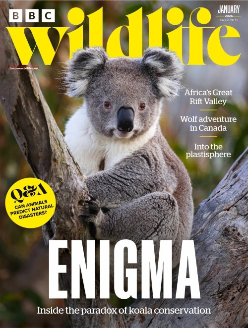 BBC Wildlife Magazine - Vol.44 Issue 1301, January 2026