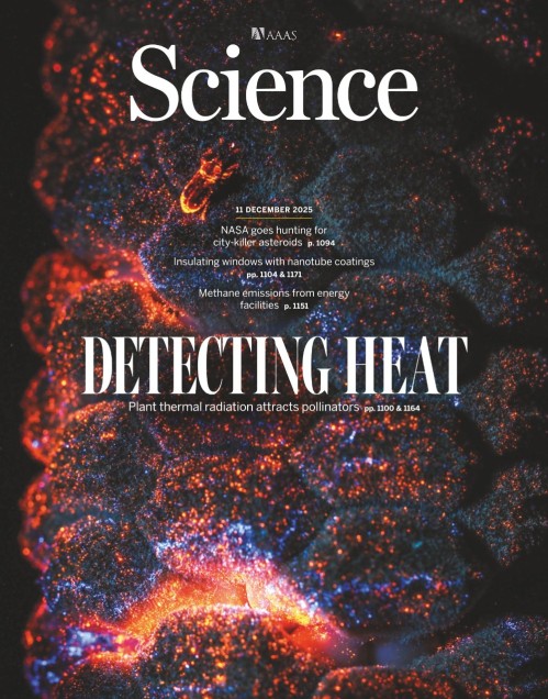 Science - Issue 6778, Volume 390, December 11, 2025