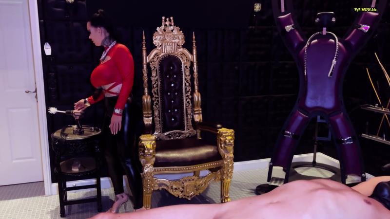 Miss Alessa Milano - Merciless Tickling Punishment for Favourite Slave [FullHD 1080P]