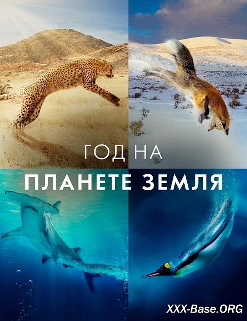 ��� �� ������� ����� | A Year on Planet Earth (1 �����/2022/WEB-DLRip/1080p)