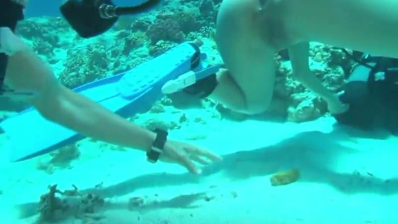 Shitting in the Sea [SD 768P]