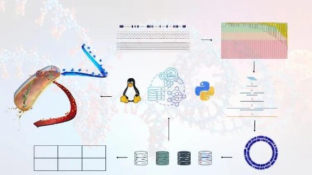 Learn AMR Detection: From Raw Genomic Reads to ML Prediction