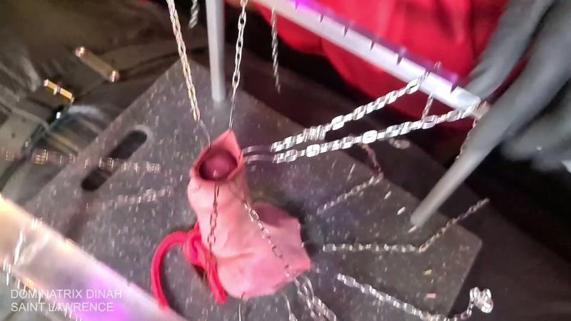 Dominatrix Dinah Personal - Extreme CBT - Hooked Cock And Balls [FullHD 1080P]