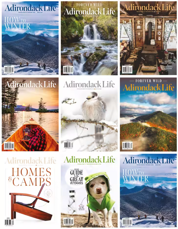 [Obrazek: 04c84563607752fd2df9d378ff0d72a2.avif]