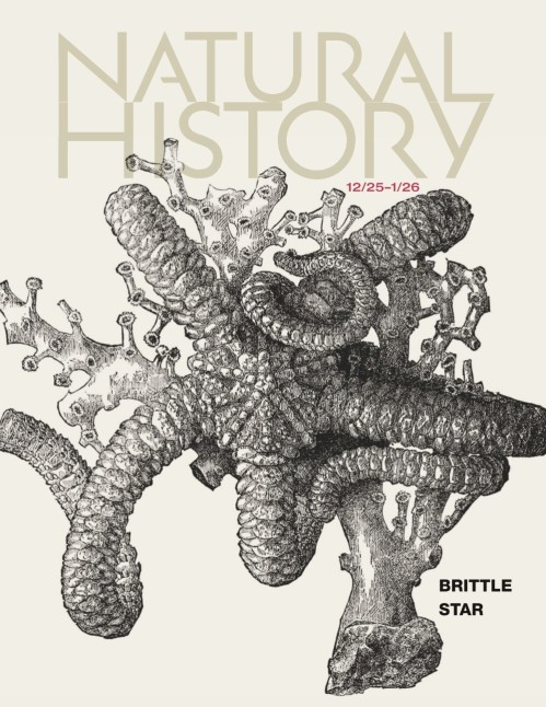 Natural History - December 2025/January 2026
