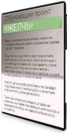 �������� ��������� - ������ ����� (2024) CAMRip