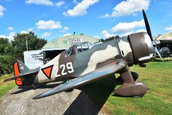 Fokker D.XXI (D-21) Walk Around