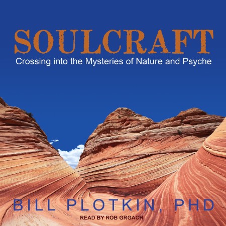 Soulcraft : Crossing into the Mysteries of Nature and Psyche - [AUDIOBOOKI]