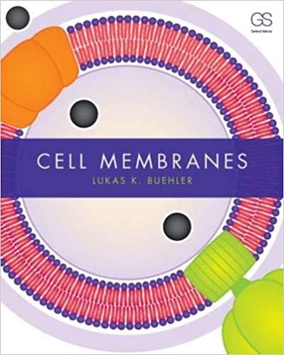 [Obrazek: 33802276d8c0abfbf34ce565e35c7490.jpg]