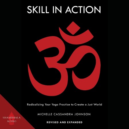 Skill in Action - [AUDIOBOOKI]
