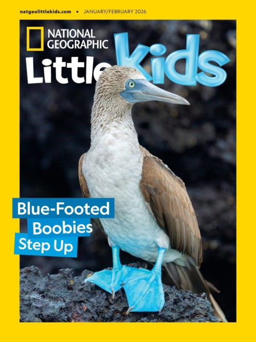 National Geographic Little Kids USA - January/February 2026