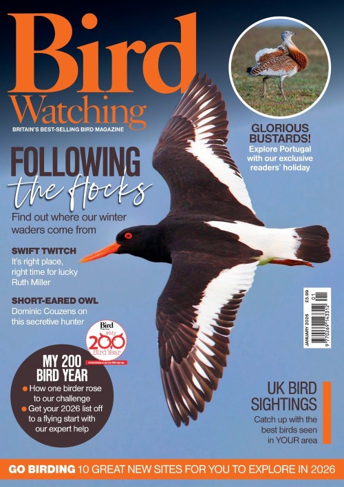 Bird Watching UK - January 2026
