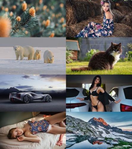 Wallpapers Mix №1995