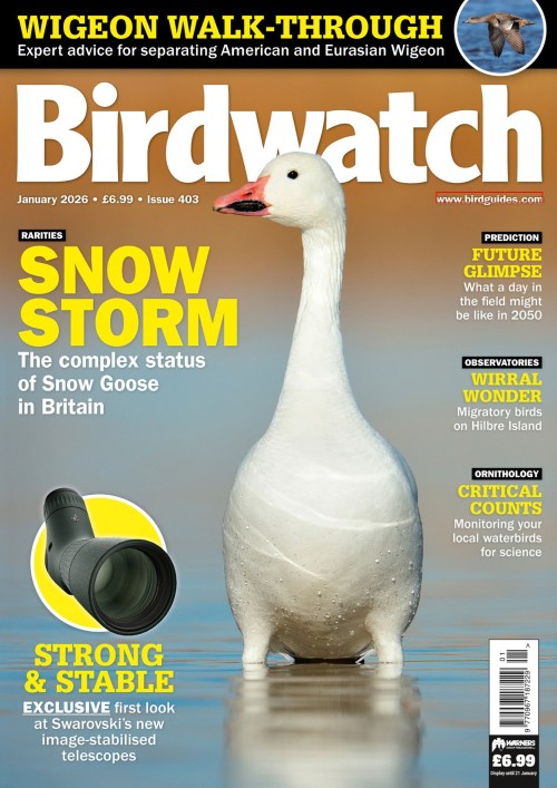 Birdwatch UK - Issue 403, January 2026