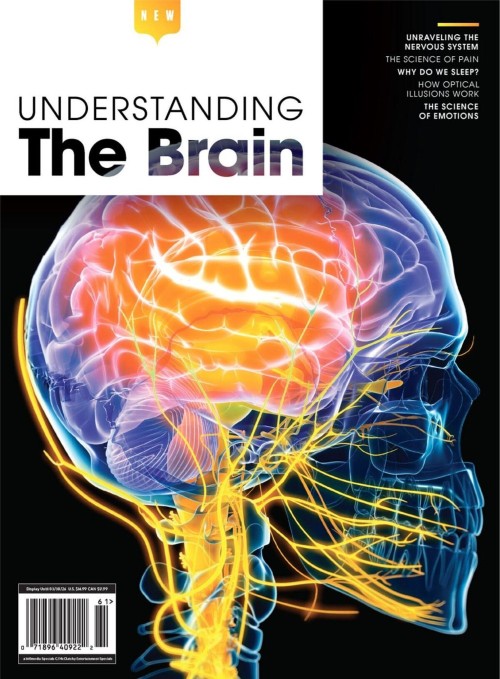 Understanding - The Brain, 2025