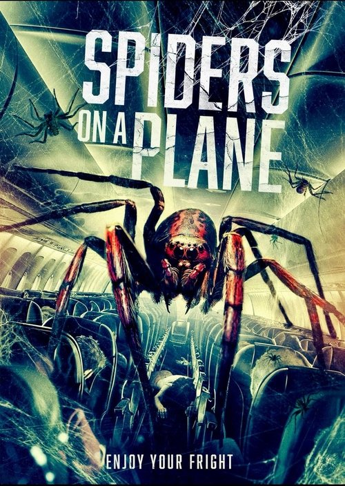 Spiders.on.a.Plane.2024.German.DL.1080p.WEB.H264-TM