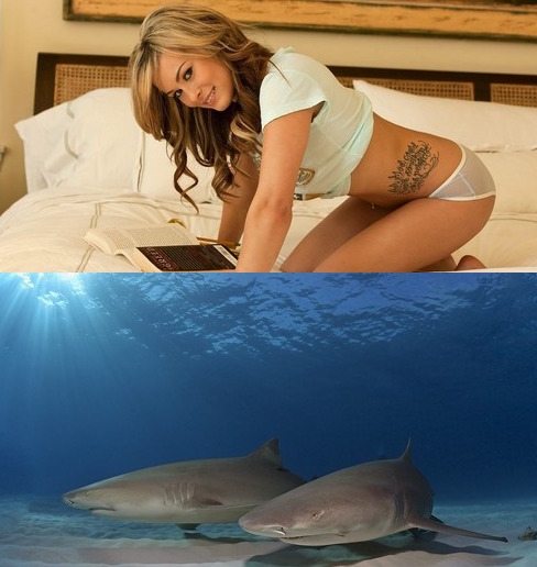 Best Mix Wallpapers 801