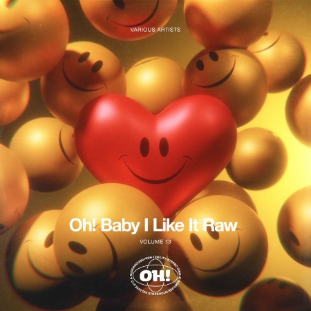 VA - Oh! Baby I Like It Raw, Vol 13 (2025) [MP3]