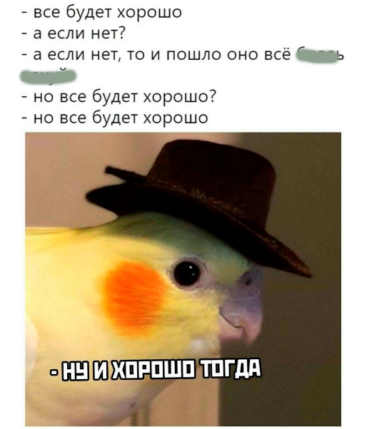 63a8545438c85067474e8f6f2df767d6.jpg?md5