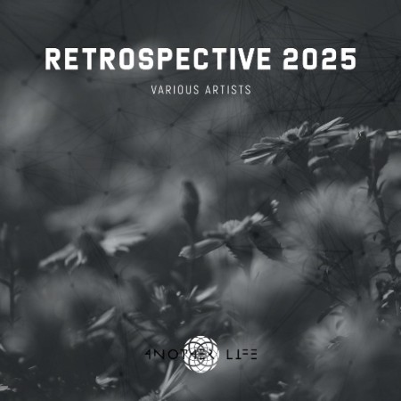 VA - Retrospective (2025) (2025) [MP3]