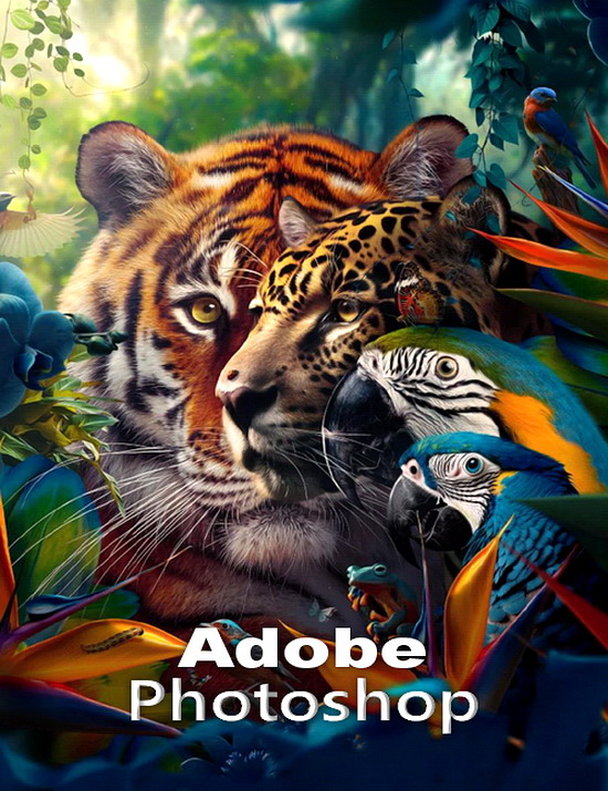 Adobe Photoshop (v. 2025.0)