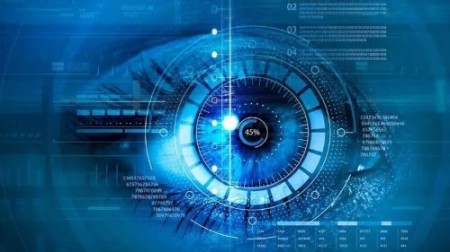 Build a Computer Vision Startup with SAM+Vision Transformers