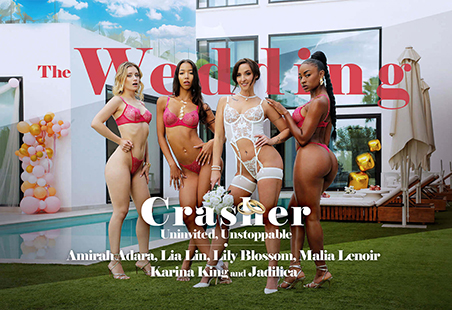 The Wedding Crasher – Uninvited, Unstoppable by LifeSelector Porn Game