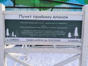 В Киеве начали работу пункты приема новогодних деревьев