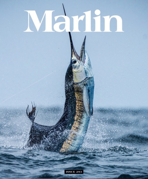 Marlin - January/February 2026