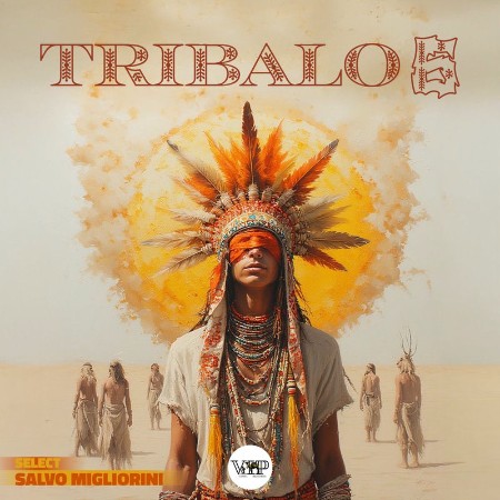 VA - Tribalo 6 02.01.(2026) [MP3]
