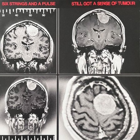 Six Strings And A Pulse - Still Got A Sense Of Tumour (2025) [FLAC]