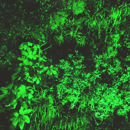 Marika Hackman - Deaf Heat EP (2014) [FLAC]