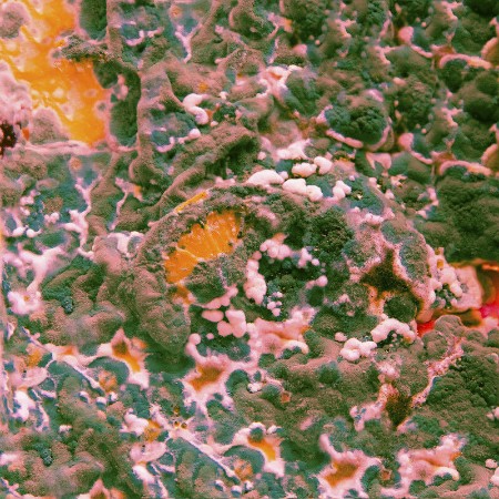 Marika Hackman - Sugar Blind EP (2013) [FLAC]