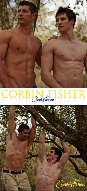 [Image: c9ffd03c3fcc5e18ee6c1ac01921cc60.jpg]