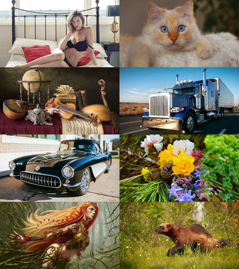 Wallpapers Mix №1999