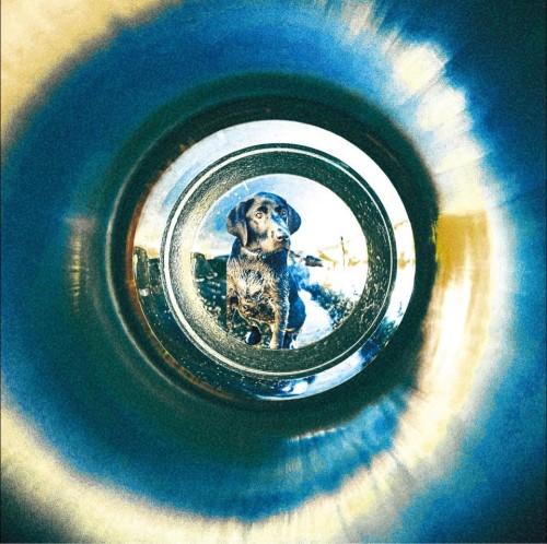 FiRSUN - Fortitude (2026)