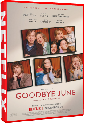 Goodbye June 2025 .mkv WEBRiP - ITA - regnodeisogni