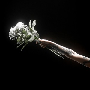 Sunborn - Glacier (Single) (2026)