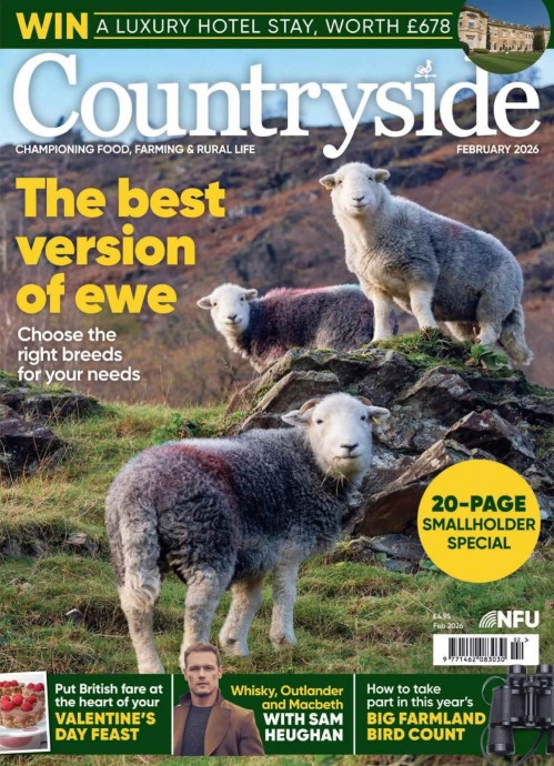 Countryside - February 2026