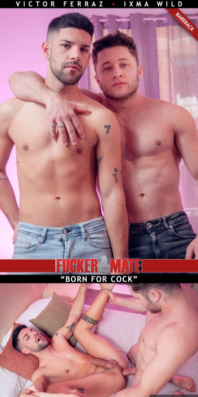 [Image: 4fad5ba2986660c9c31e7ac7b5bd52db.jpg]