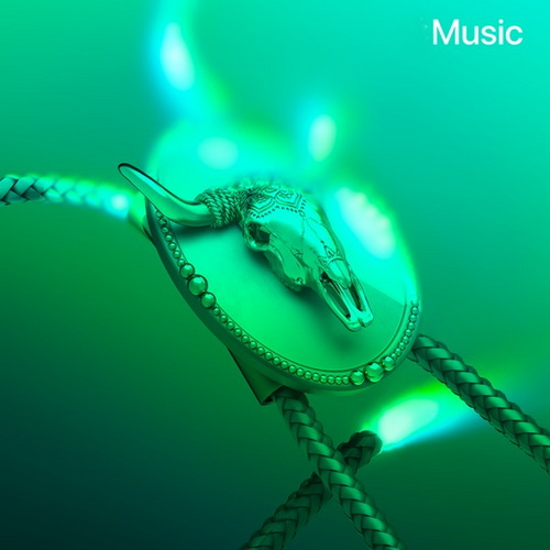 New in Country 16-01-2026 (2026) FLAC