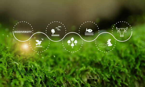 [Obrazek: 8d260309e9c1a1dc80317d16e6f70a67.jpg]