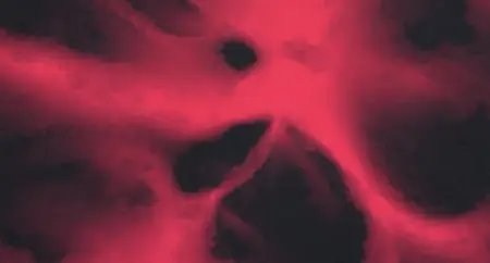 [Obrazek: 7127ec3a6ae96c6dd6a91856c14254d1.webp]