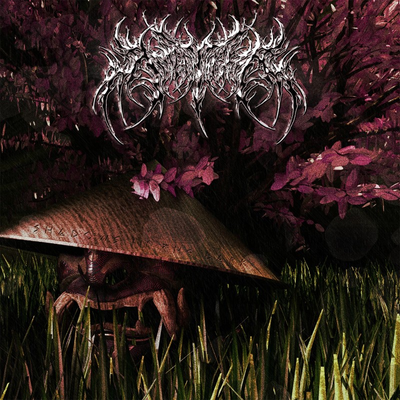 Amatera - Shadows In The Dark [EP] (2026)