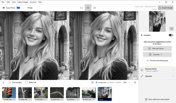 Topaz Photo Pro 1.6.0 (x64)