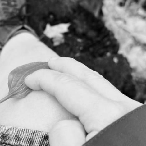 Dari Veter - само по себе пройдёт (2025) [FLAC]