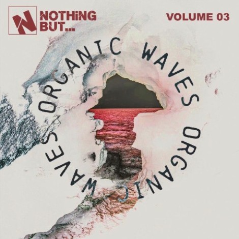 VA - Nothing But... Organic Waves, Vol. 03 23.01.(2026) [MP3]